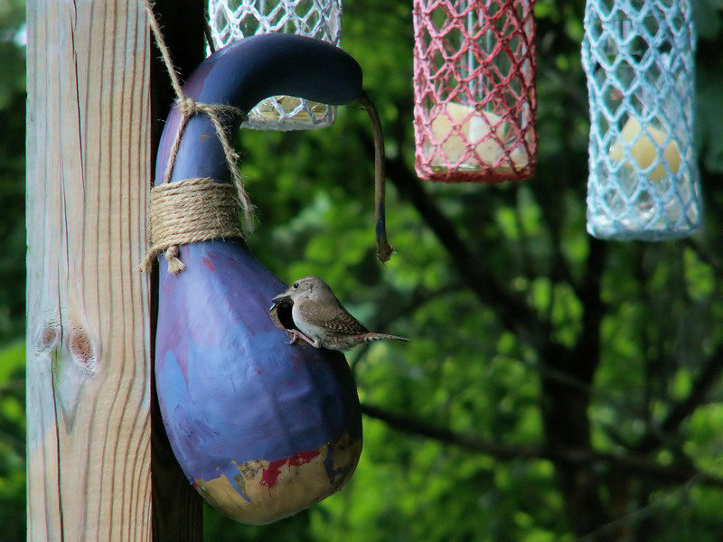 rubbish disposal waste removal